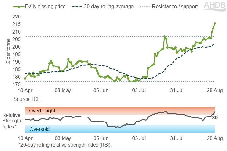 Line chart showing UK feed wheat futures prices for the Nov-26 contract over the past six months.